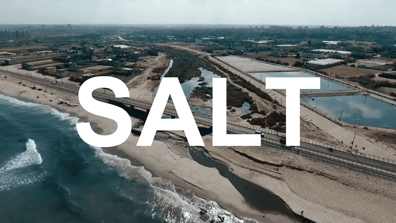 SALT